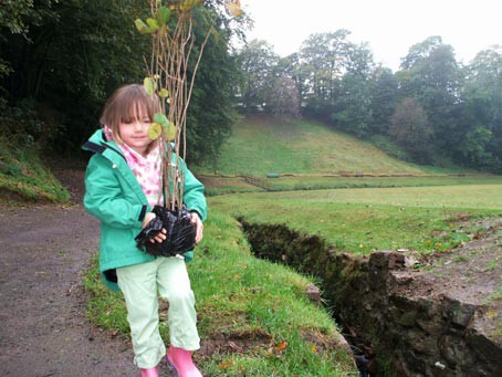 Plant Trees For The Peace