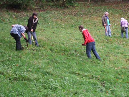 Plant Trees For The Peace