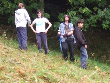 Plant Trees For The Peace