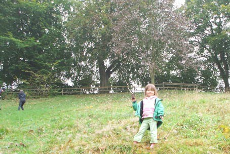 Plant Trees For The Peace