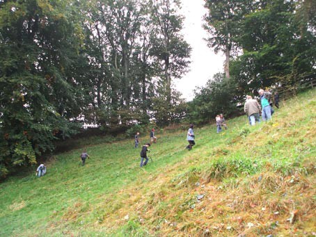 Plant Trees For The Peace