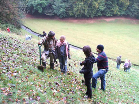 Plant Trees For The Peace
