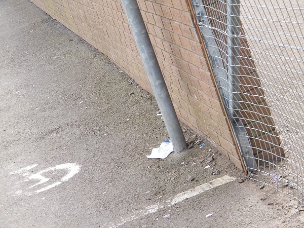 National Spring Clean 2010