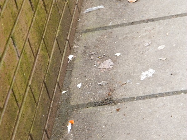 National Spring Clean 2010