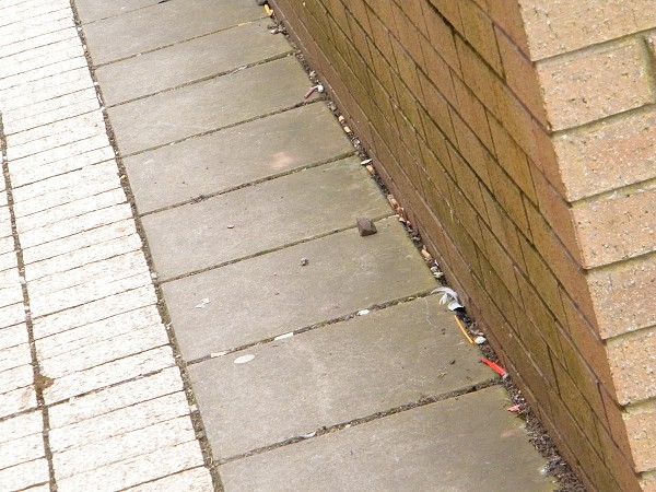 National Spring Clean 2010