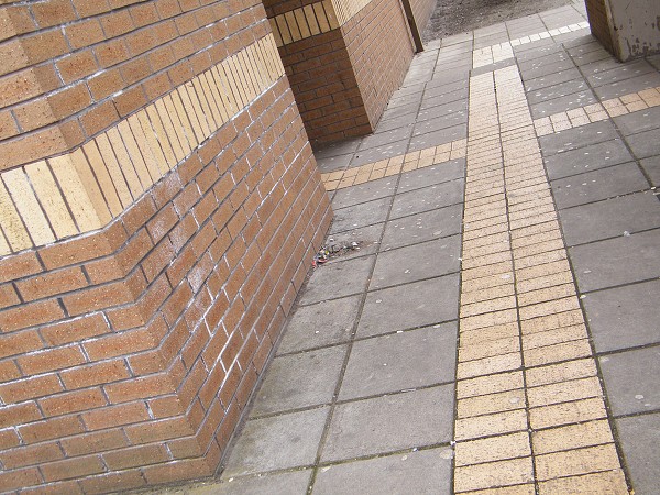 National Spring Clean 2010