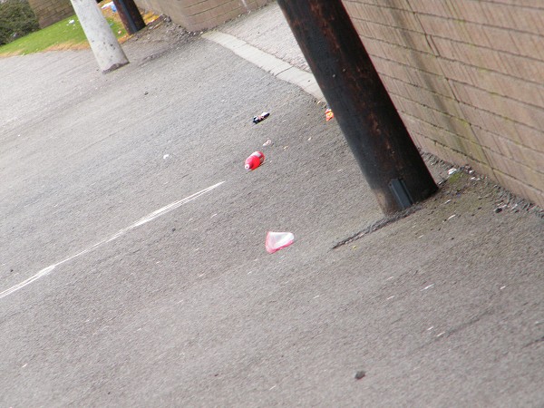 National Spring Clean 2010