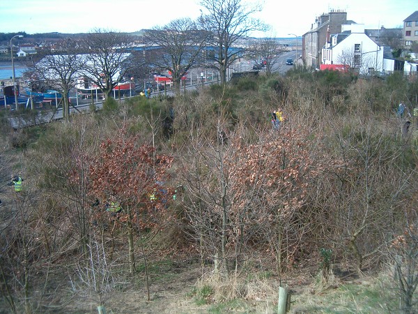 National Spring Clean