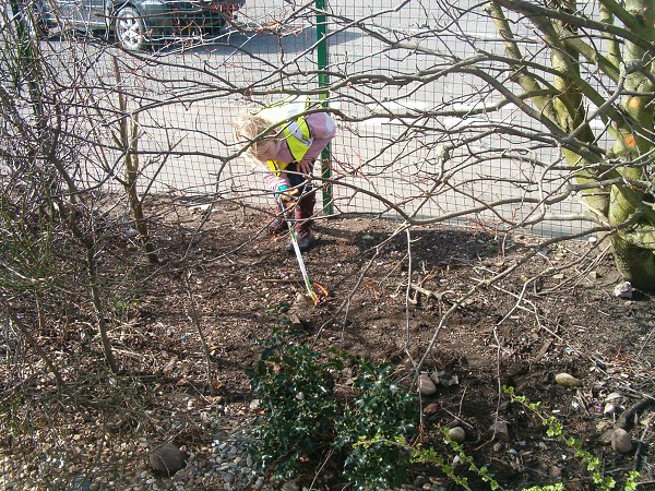 National Spring Clean